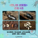 장승포초등학교병설유치원 네이버블로그