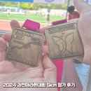 관문체육공원 실내체육관 | [러닝] 2024 과천 마라톤대회 - 5km 참가 후기