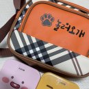 놀러오개 애견유치원 애견호텔(화성 병점진안점) 이미지