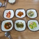 보현산식당 | 영천 숨은 맛집 보현산 근처 찌개 추천 백송식당