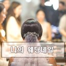 엘리샤 뷰티