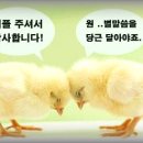 인사 드립니다.^^ 이미지