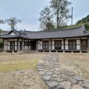 야생화자수 | 여행: 자연과 예술의 조화, 신안의 그 섬에 가고 싶다.