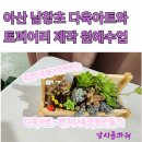 남창마을 | 남창 초등학교 다육 아트와 토피어리 만들기 원예 수업 후기