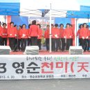 영순초등학교 이미지