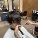 프링헤어 이미지