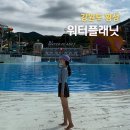 웰리힐리 워터파크 워터플래닛 할인, 카바나, 물놀이 시설 이용 후기