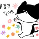 홀스마스터즈 승마클럽 이미지