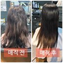 신피부과 | 대구 동성로 미용실 헤어샵 [위드미헤어] - 인생 매직머리