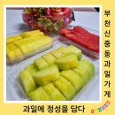 과일에정성을담다 이미지