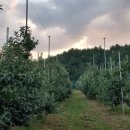 박태호농장 이미지