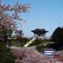 해상공원 대종 아래 이미지