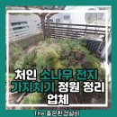 흙과소나무 | 처인 소나무 전지 가지치기 정원 정리 업체