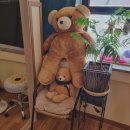 서귀동-30 이미지