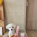 휴먼메디(주) 이미지