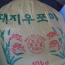 창녕쌀