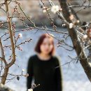 진안읍 1414 이미지