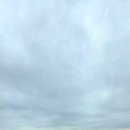 호원테니스장 이미지