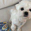 달성공원 동물병원 이미지