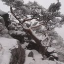 설화 이미지