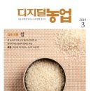 소사중국식품 이미지