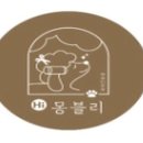 하이몽블리 이미지