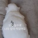 하오츠 이미지