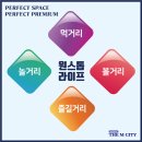 건설청앞BRT 이미지