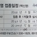 서대문구보건소천연분소 이미지