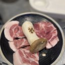 잠실새내맛집 당산오돌 잠실신천점 꼬들살 추천