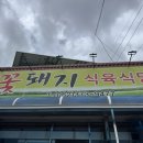 포충로 이미지