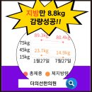더의선한의원 | 서초동 다이어트, "8.8kg 감량" 성공! (체질+InBody 인증 후기)