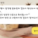 신촌 숲 동물병원 이미지