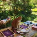 수안보중학교 이미지