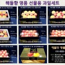 해들향 이미지