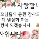 태권짱 이미지