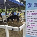 강화군장애인회관 | 🎭 [축제후기] 2025 과천공연예술축제 – 기억과 상상이 솟아오르다