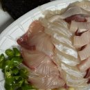 의정부역 회 배달- 동해수산물회센타 대방어 재주문 후기