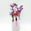 사구농장 이미지