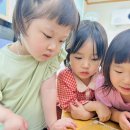 5월 26일 코코팡 영어 / 달팽이와 알비노고도비 관찰하기 / 새노래 시장잔치 이미지