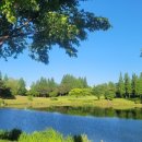 인천국제골프연습장 이미지