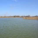 용전2로 이미지