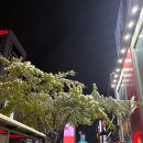 [응생일기] 인턴일기 - 월말 업무 시간 청산 당하기/방화동 스시맛집 금스시/카페노니/이경문순대곱창...