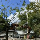 얼음골펜션 | 밀양캠핑장 얼음골 까투리 펜션&amp;캠핑장 할로윈캠핑 후기