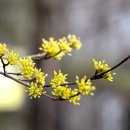 조은미공인중개사사무소 이미지