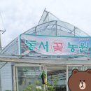 동서농원