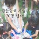 (주)피앤피제주