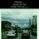수선집 Daum카페