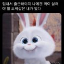 나인걸 이미지