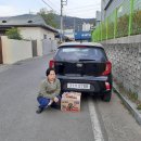 맘모스이용소